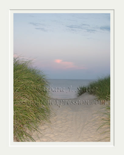 Cape Cod Path